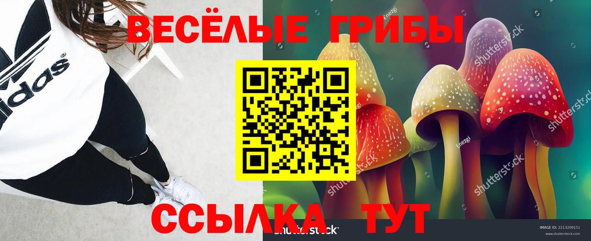 Галлюциногенные грибы Cubensis  Вход с VPN  Галлюциногенные грибы Psilocybe  Карасук 